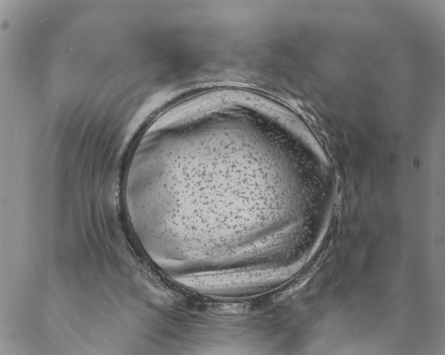 X0000088460056200706121514