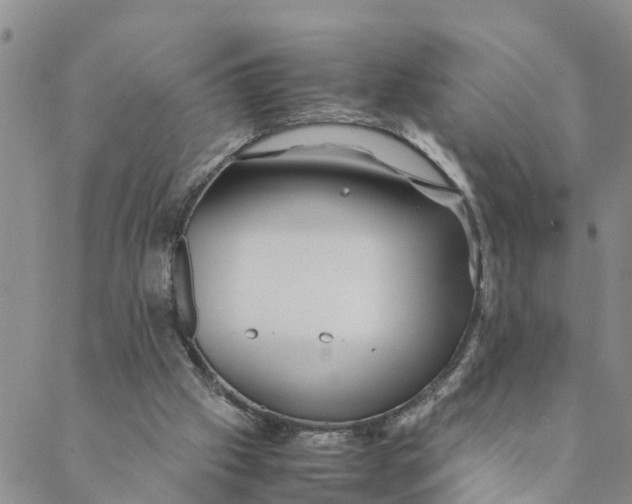 X0000088460057200706121514