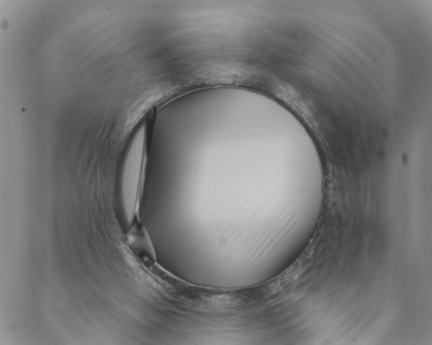 X0000088460058200706121514