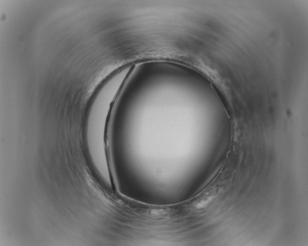 X0000088460060200706121514