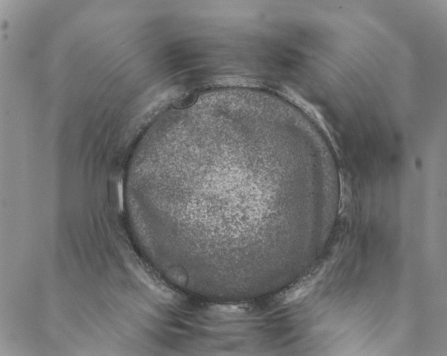 X0000088460061200706121514