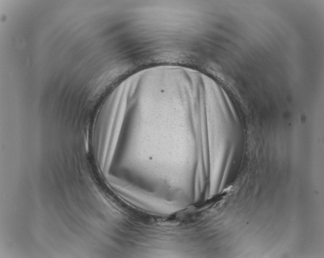 X0000088460062200706121514