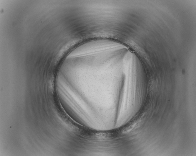 X0000088460064200706121514