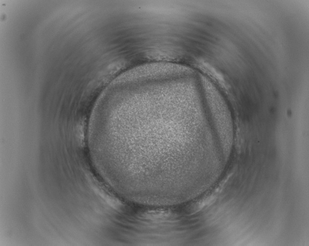 X0000088460065200706121515