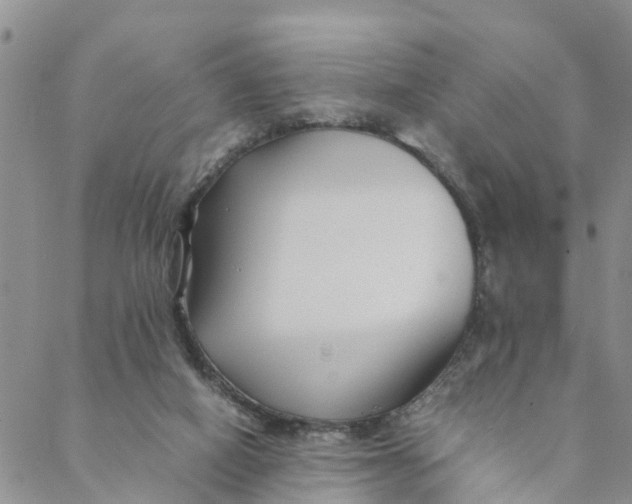 X0000088460066200706121515