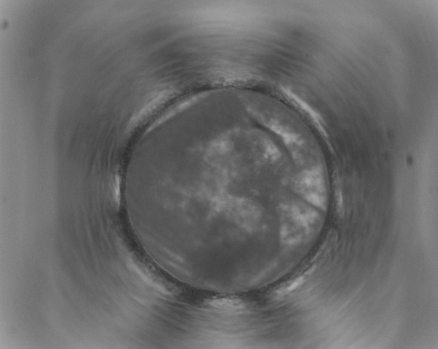 X0000088460067200706121515