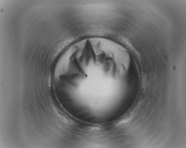 X0000088460068200706121515