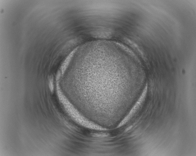 X0000088460069200706121515