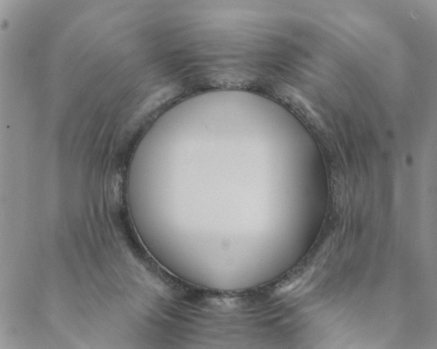 X0000088460071200706121515