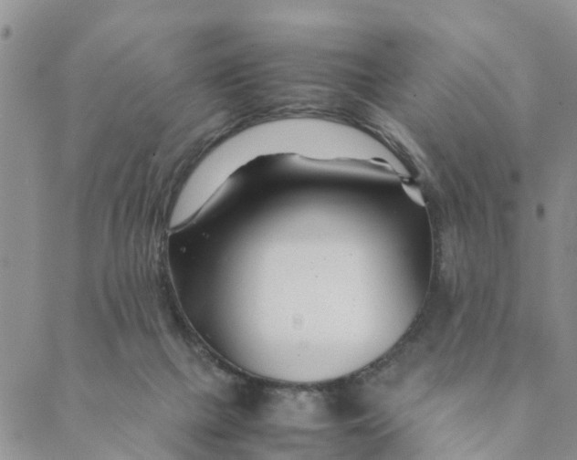 X0000088460073200706121515