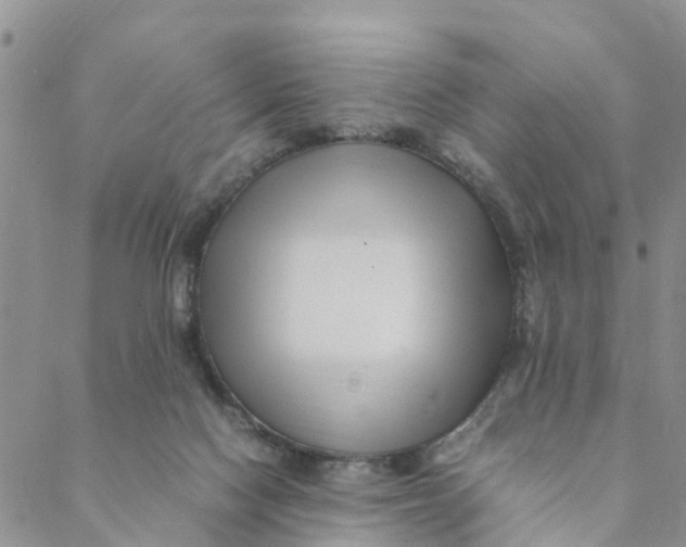 X0000088460074200706121515