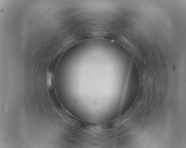 X0000088460075200706121515