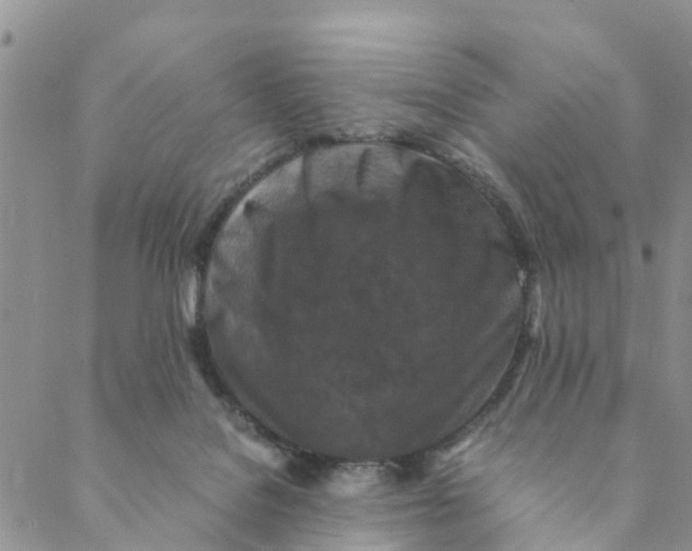 X0000088460076200706121515