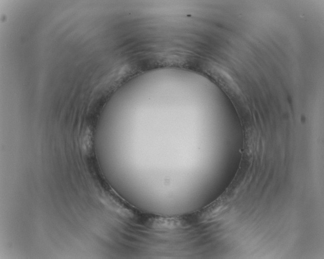 X0000088460077200706121515