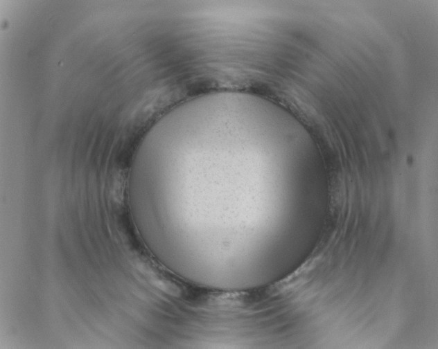 X0000088460078200706121515