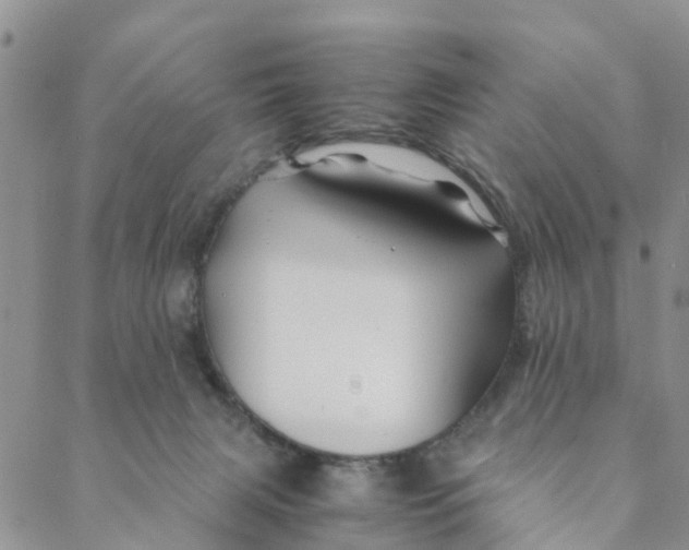 X0000088460079200706121515