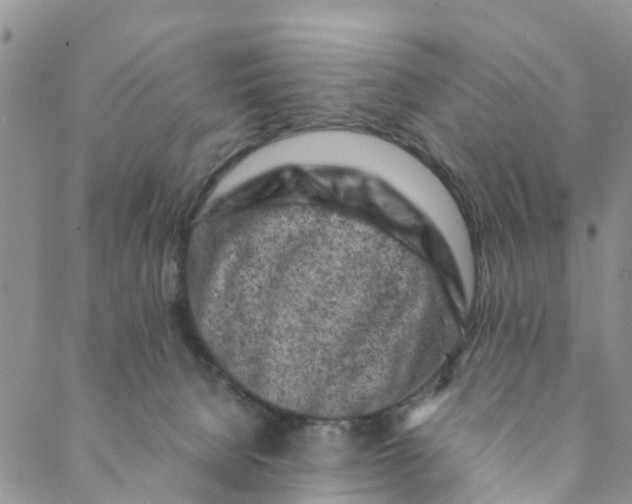 X0000088460080200706121515