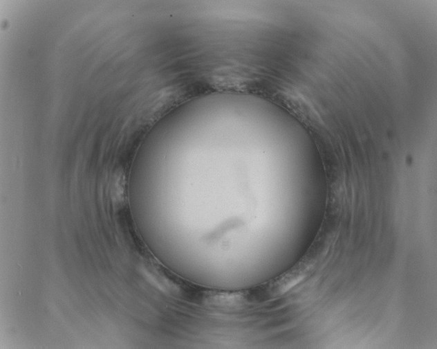 X0000088460081200706121515