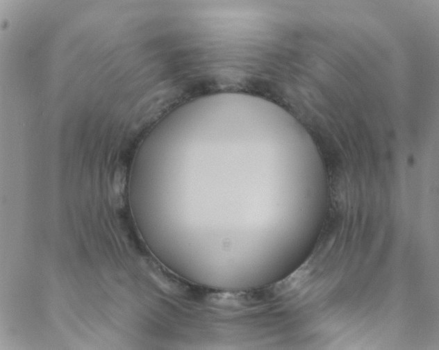 X0000088460082200706121515