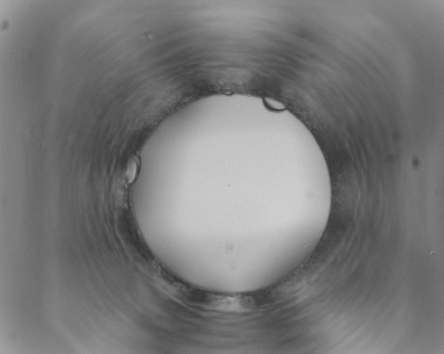 X0000088460083200706121515