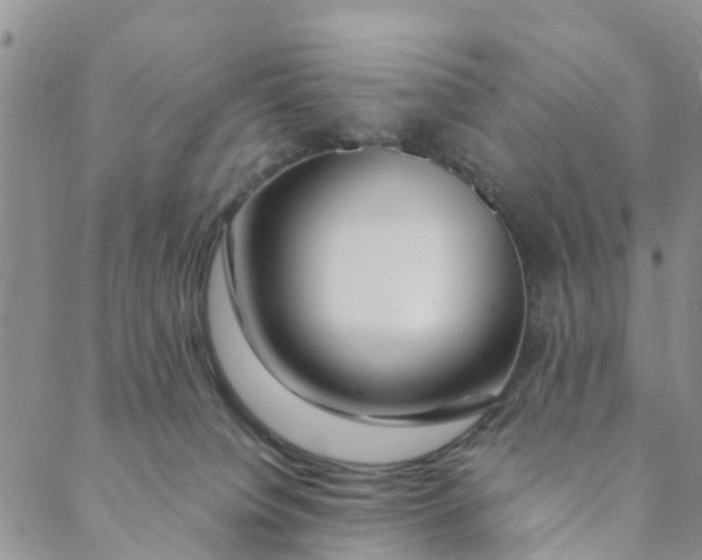 X0000088460084200706121515