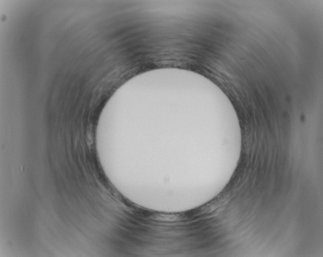 X0000088460085200706121515