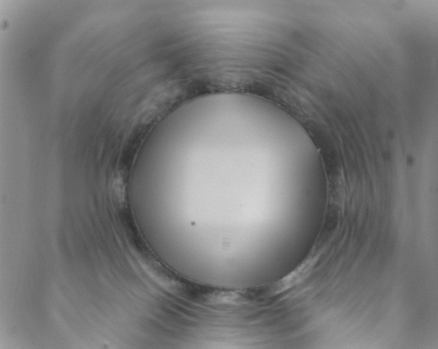 X0000088460086200706121515