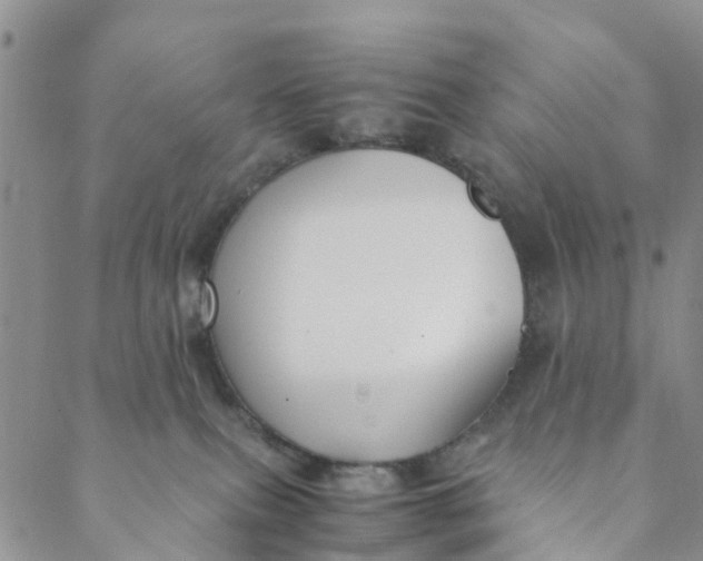 X0000088460087200706121515