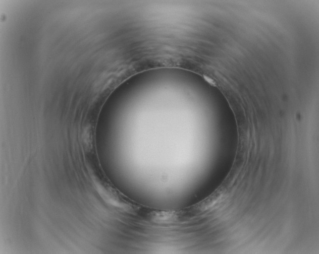 X0000088460088200706121515