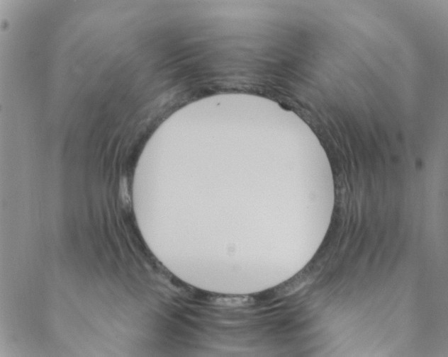 X0000088460089200706121515