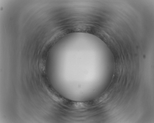 X0000088460091200706121515