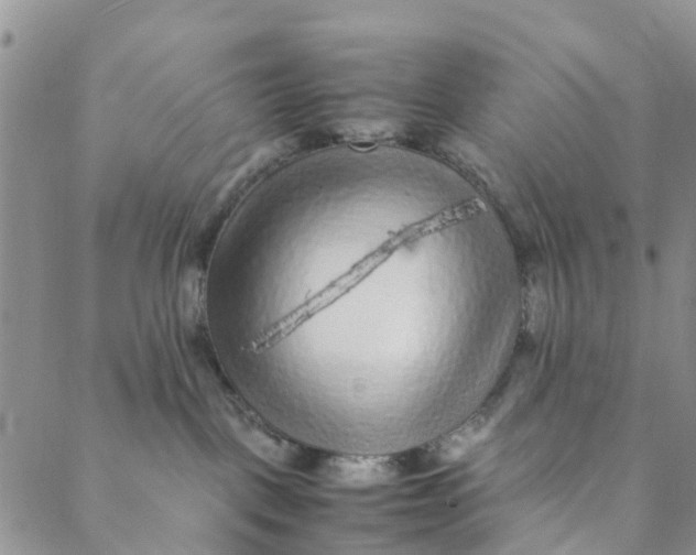 X0000088460093200706121515