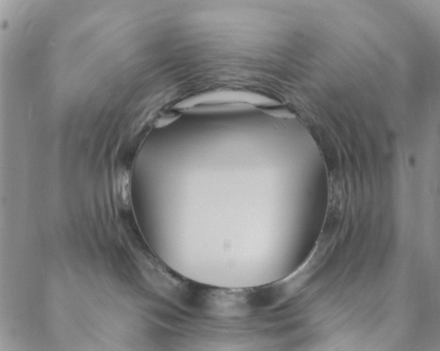 X0000088460094200706121515