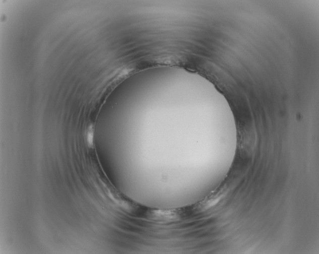 X0000088460095200706121515