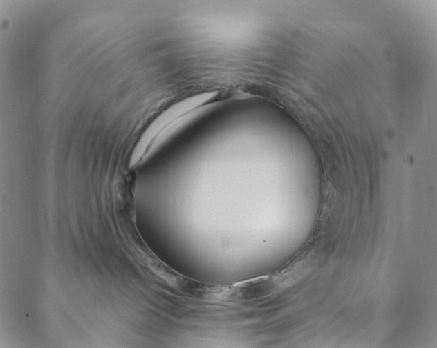 X0000088460096200706121515