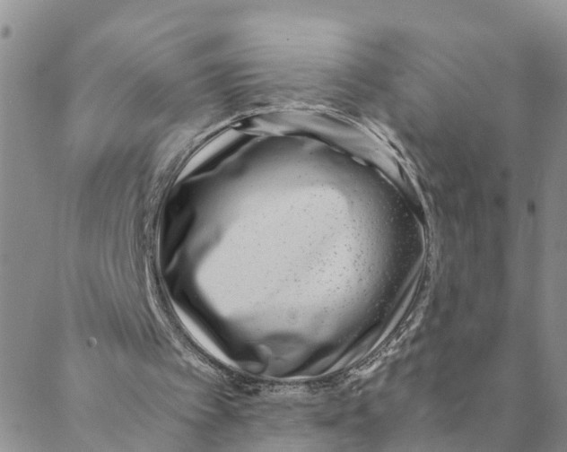 X0000088460097200706121514