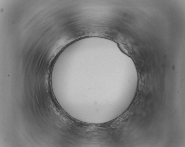 X0000088460098200706121514