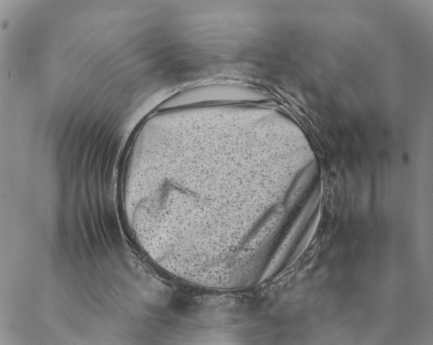 X0000088460100200706121514