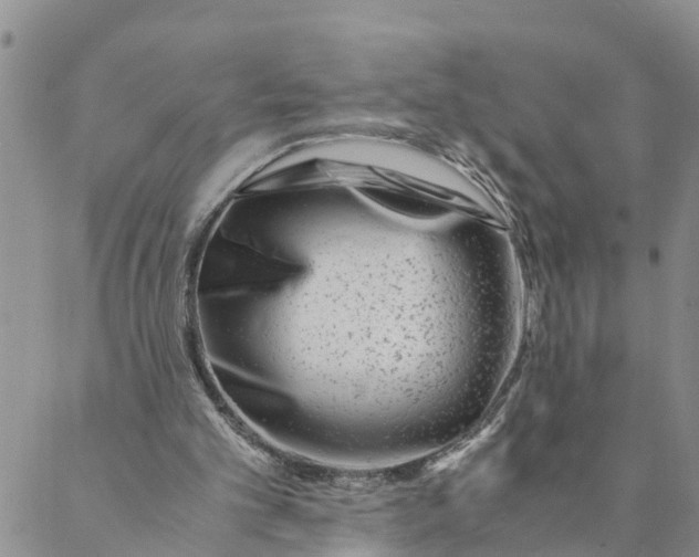 X0000088460101200706121514