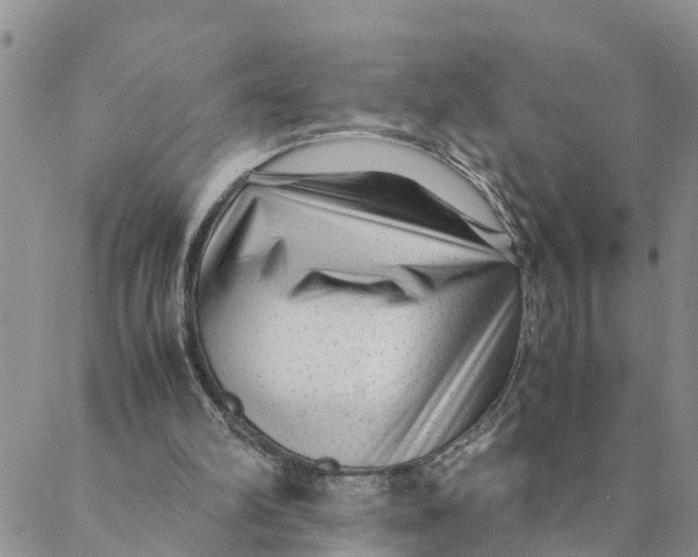 X0000088460102200706121514