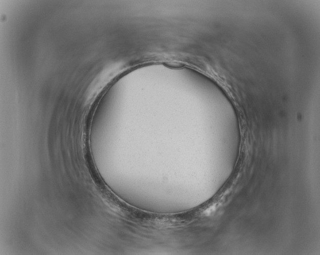 X0000088460103200706121514