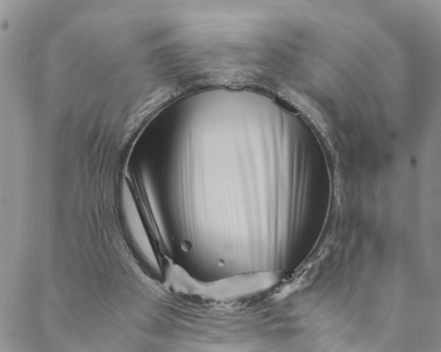 X0000088460105200706121514