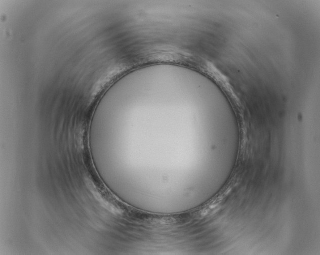 X0000088460106200706121514