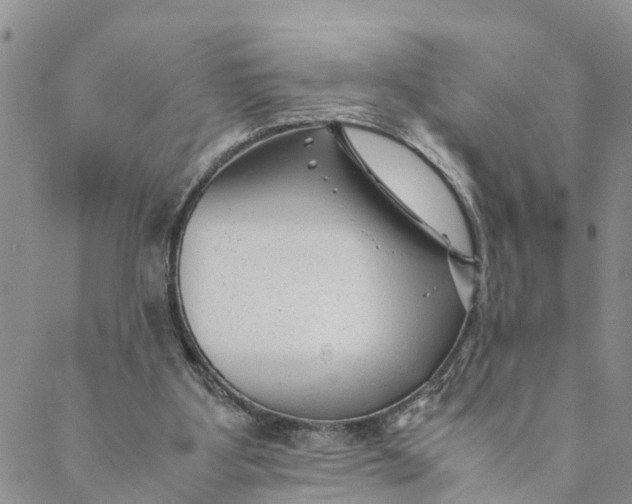 X0000088460107200706121514