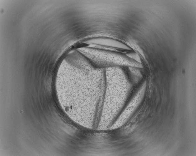 X0000088460108200706121514