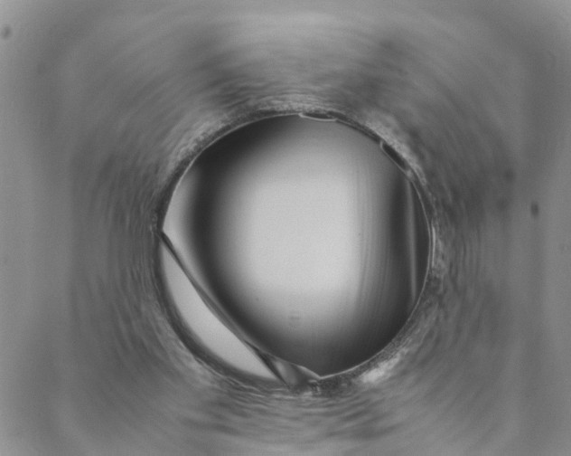 X0000088460109200706121514