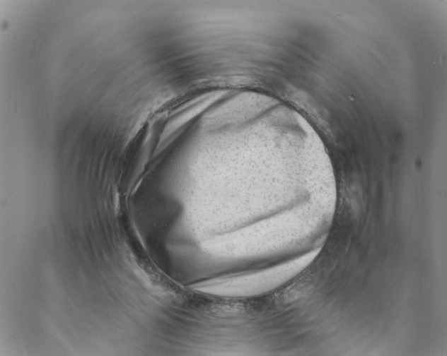 X0000088460110200706121514