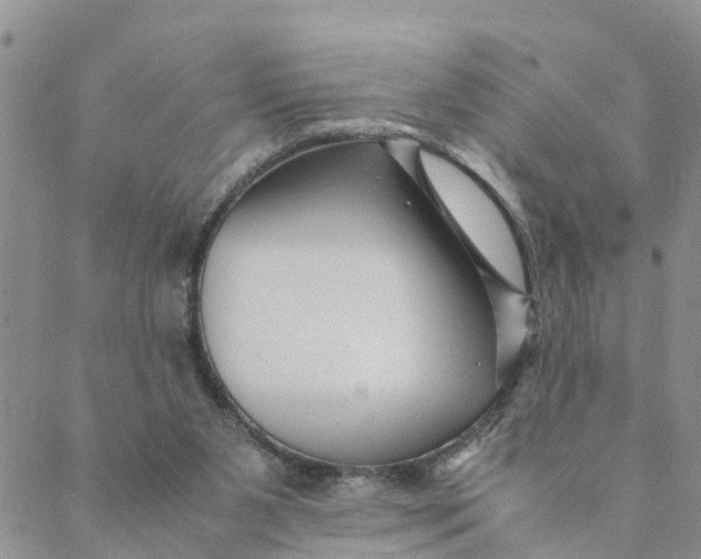 X0000088460111200706121514