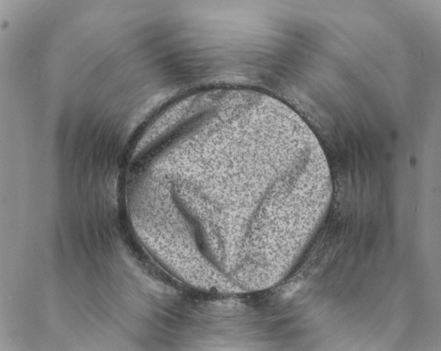 X0000088460112200706121514