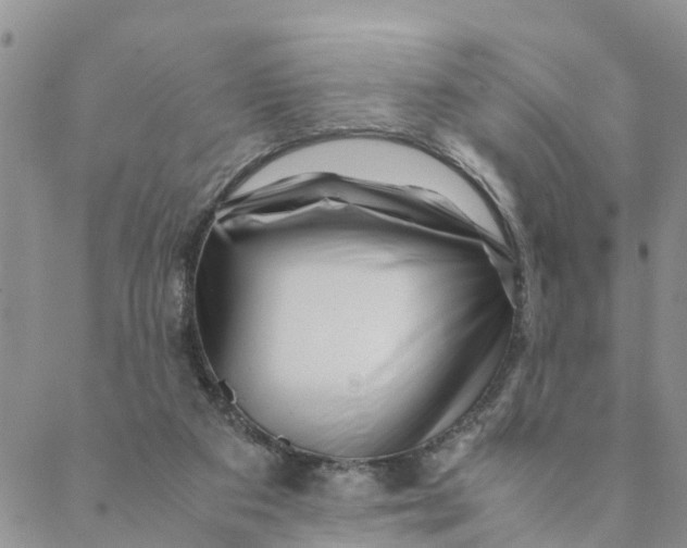 X0000088460113200706121514